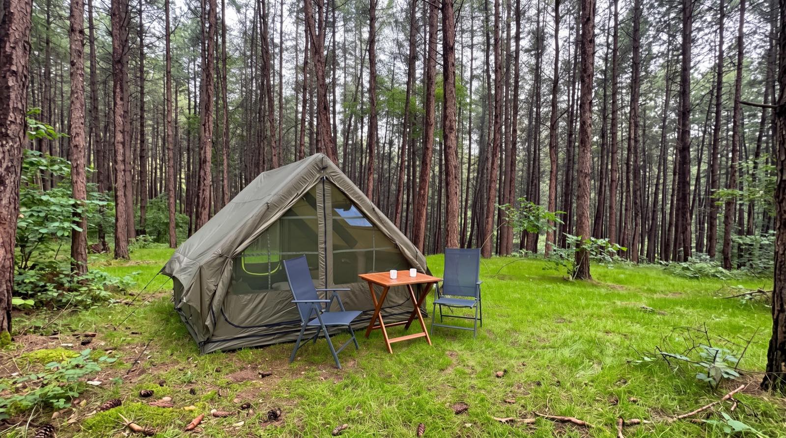 Las nad rzeką San otaczający namioty glampingowe Sanovia Glamping