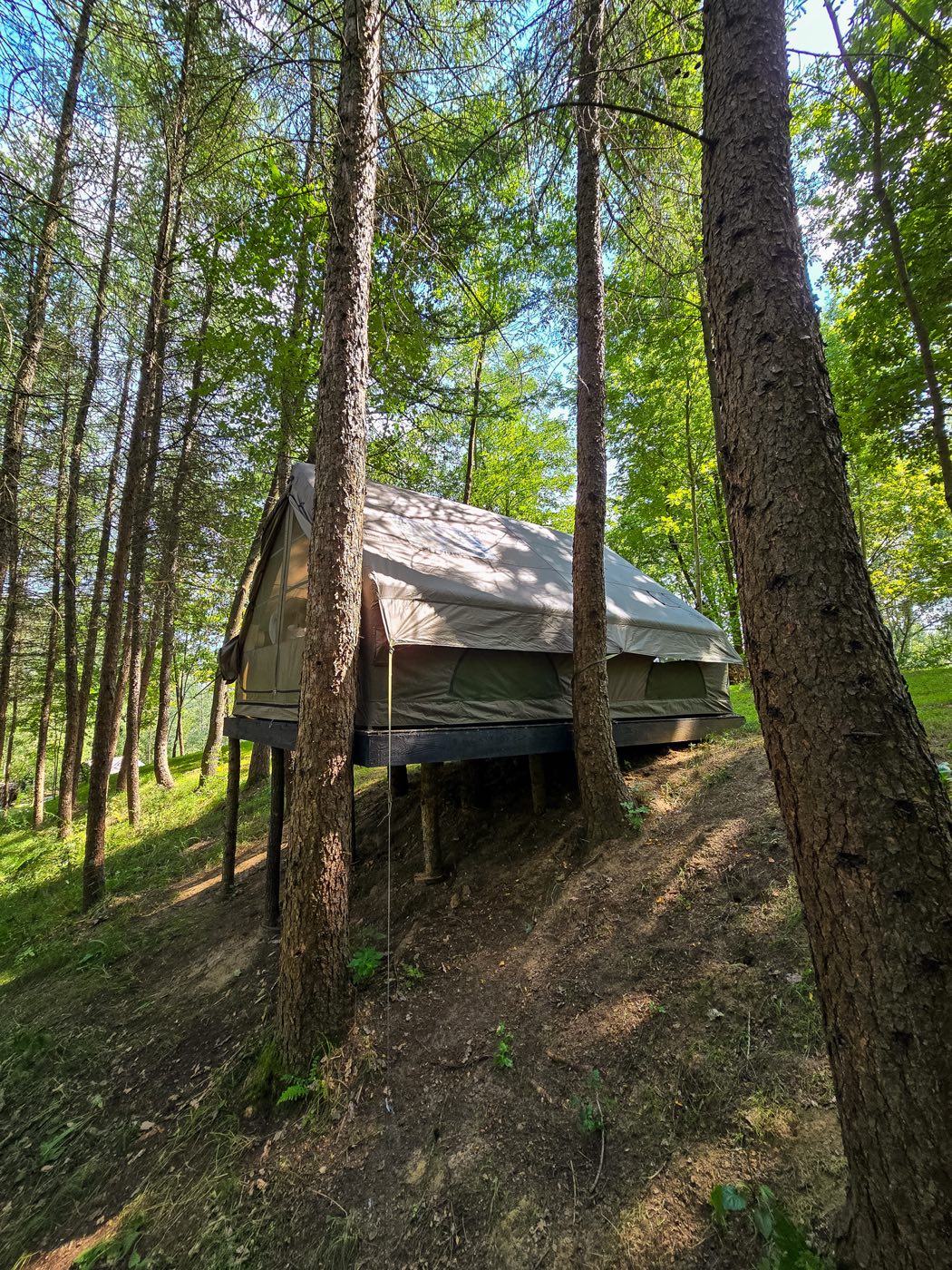 Namiot glampingowy 7 — Świerk